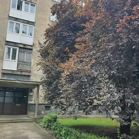 Charm * Sarajevo